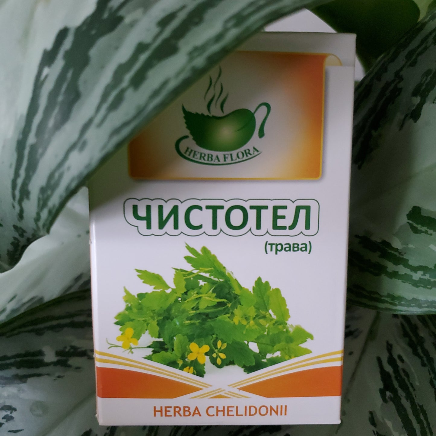 HERBES CHELIDONIUM / ЧИСТОТЕЛ ТРАВА 50g