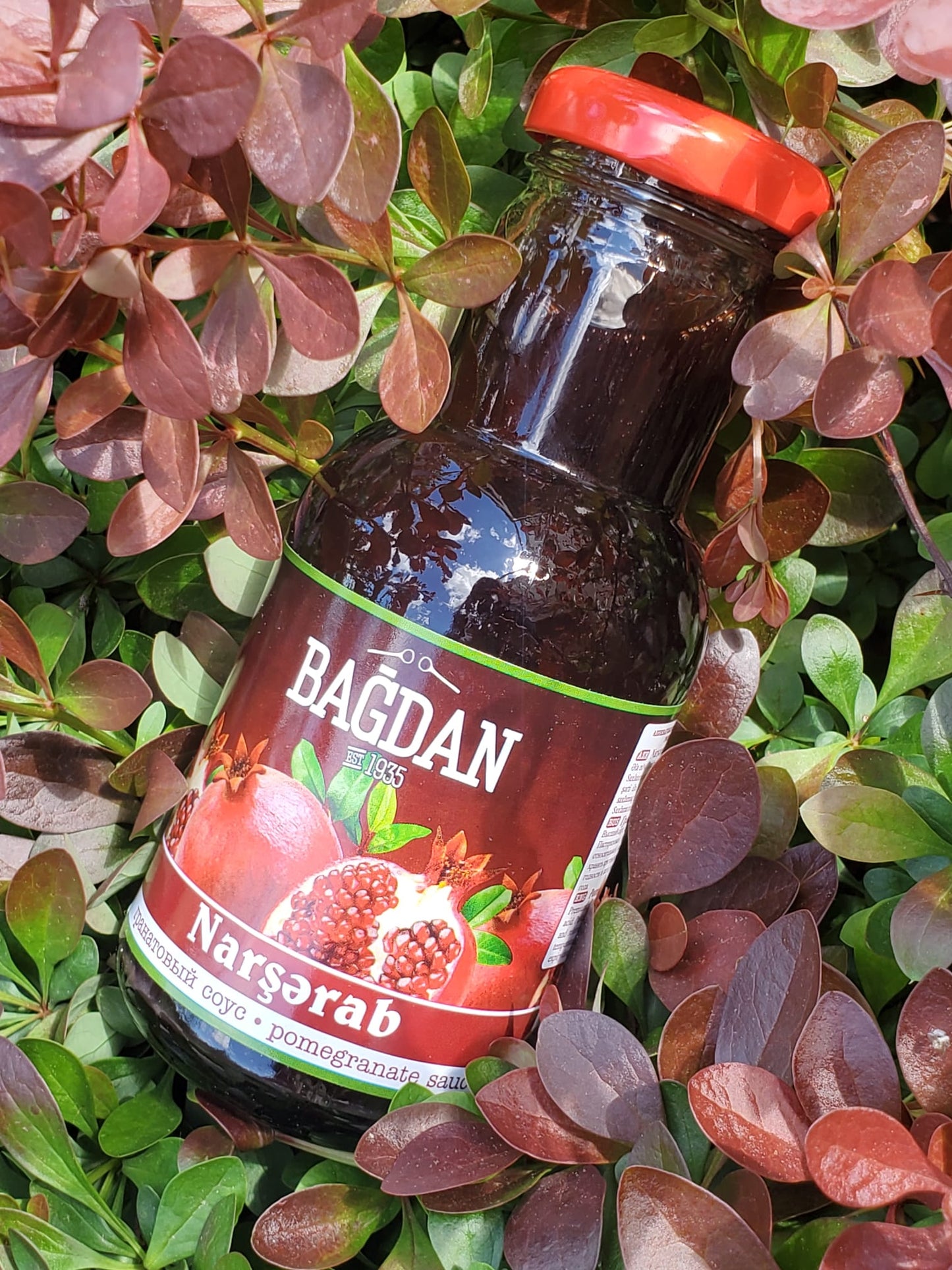 BAGDAN POMEGRANATE SAUCE / NARSHARAB 290g