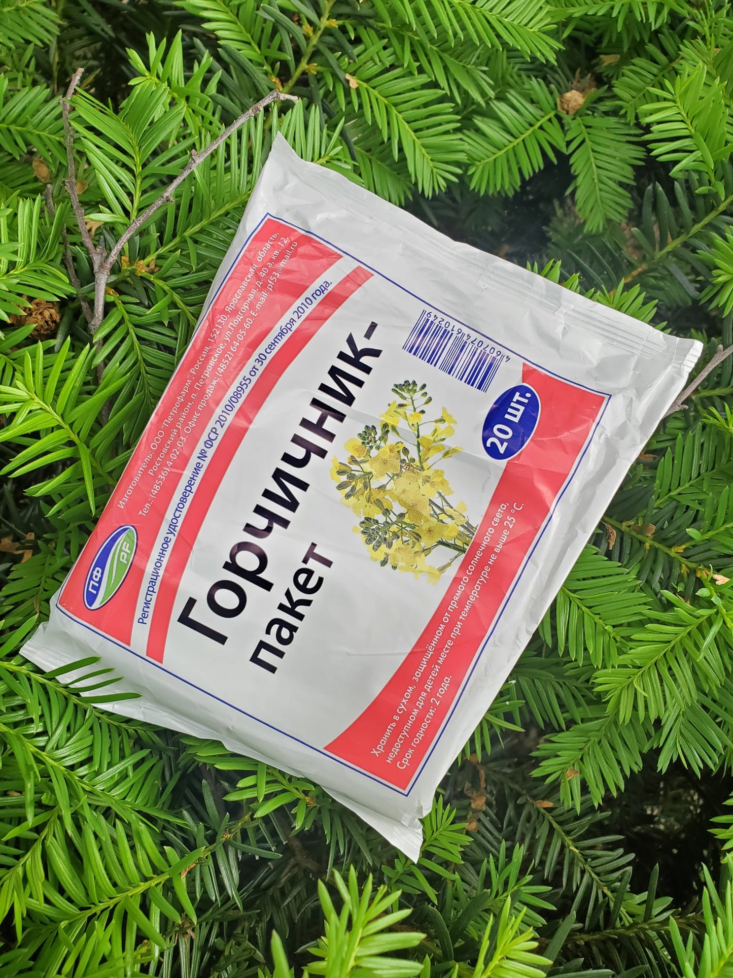 RAW DRY MUSTARD / ГОРЧИЧНИКИ 10/2PCK