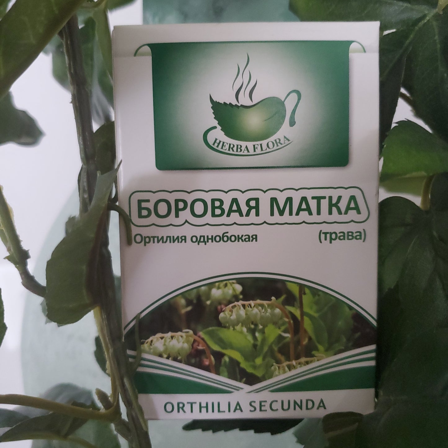 HERBES ORTHILIA SECUNDA / БОРОВАЯ МАТКА 30g